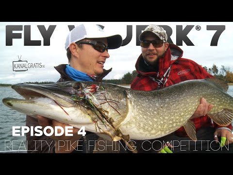 Fly vs Jerk 7 - EPISODE 4 - Kanalgratis.se