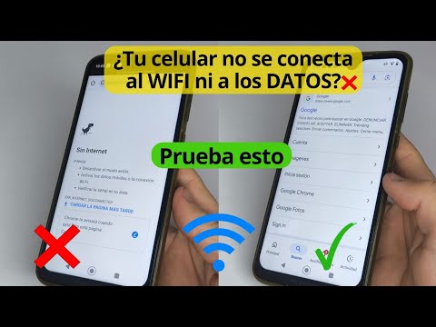 My cell phone won't connect to Wi-Fi or mobile data - Solution