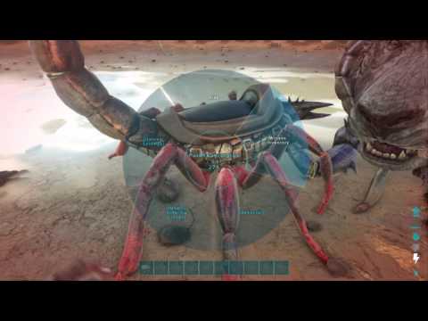 ARK: Survival Evolved breeding tapejara and talking about update 1.29 for ps4 and the stats