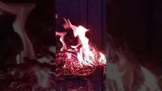 Download lagu Nyala Api Unggun Kecil Cocok untuk story/status WhatsApp/Instagram mp3