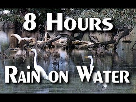 Relaxing Sound of Rain on Water - 8 Hrs Long