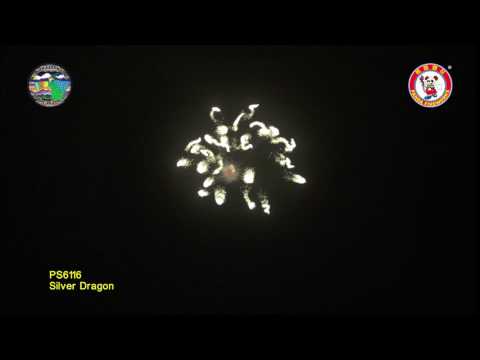 SC150OT01 - 6 INCH SHELL - WIZARD FIREWORKS - PS6117