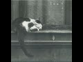 Tindersticks - City Sickness