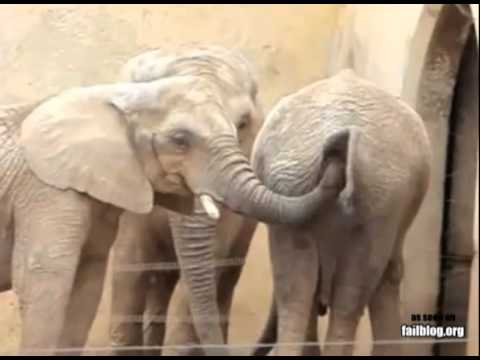 download lagu mp3 mp4 Come Popo, download lagu Come Popo gratis, unduh video klip Come Popo