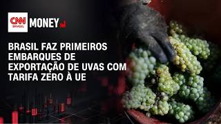 Vídeo: Brasil faz primeiros embarques de exportação de uvas com tarifa zero à UE | CNN AGRO NEWS