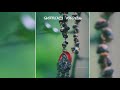 SABARIMALA Whatsapp Status Malayalam