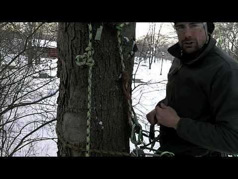 YouTube Thumbnail fYHGg79dF3U