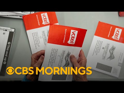 Election Security: The High-Stakes Battle for Democracy | Vibepedia