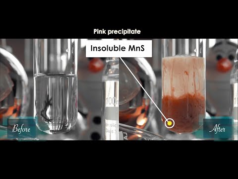 What happen when Manganese(II) sulfate  (MnSO4) react with sodium sulfide (Na2S)? | MnSO4+Na2S
