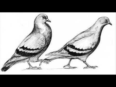 Makadam 3...2...1...0 - Makadam