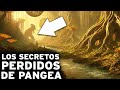 Pangea Descubriendo El último Supercontinente Legendario De La Prehistoria DOCUMENTAL