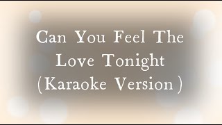 Owl City - Can You Feel The Love Tonight (Karaoke Version)