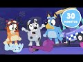 Bluey Diversão à Noite Episódios Completos Bluey Português Brasil Canal Oficial