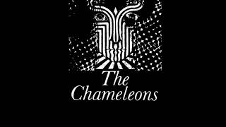 The Chameleons - One Flesh