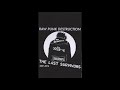 The Last Survivors Raw Punk Destruction 2001 2016