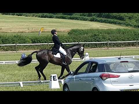 Barbury International 2018 CCI 3*-S DR Pennineview Silver Concorde