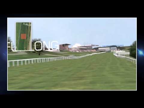 Sussex Stakes 3d flyover
