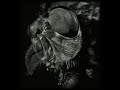 PORTAL -  Larvae (Swarth 2009)