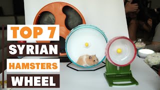 7 Best Hamster Wheels for Syrians – Safe, Silent & Spacious!