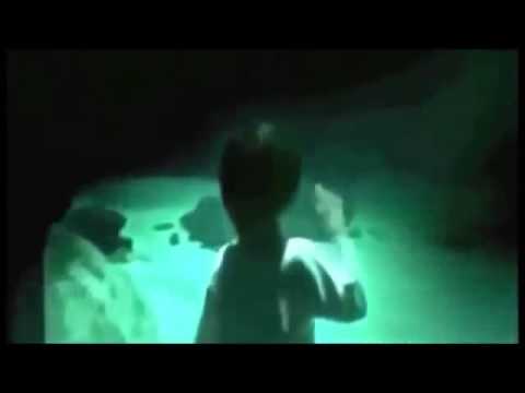 comment construire un aquarium géant