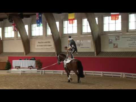 CVI Bern 2015 - Mainz-Laubenheim Junior GER (CVIJ2*)