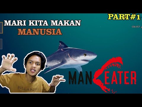 MANEATER INDONESIA - PETUALANGAN MENJADI HIU DIMULAI