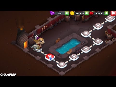 Knight Fight, How to win Chapion, Did you winChampion in dragon mania, Feed dragon, DML Master