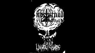 Nocturnal Evil - Intro: Holocausto/Unholy Chaos