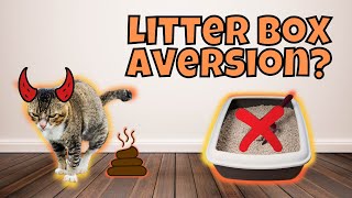 Why Does My Cat Go Outside The Litter Box? (7 Possible Reasons)