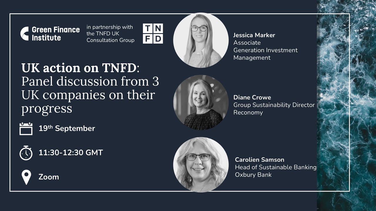 UK action on TNFD – Q3 2025
