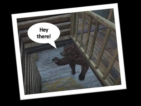 How did it get inside?! A beary scary visitor on Esseker DAYZ.