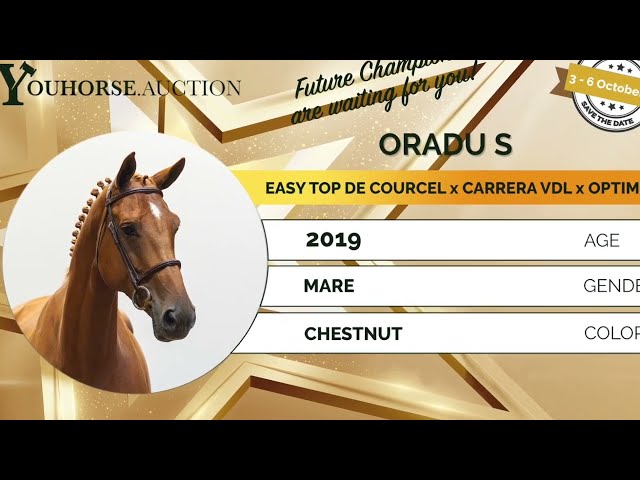 Oradu showvideo indoor