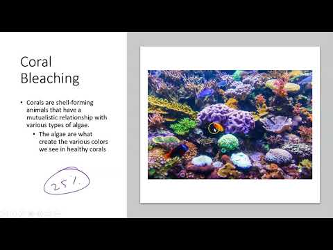 APES Topics 9.6-9.7 Ocean Acidification and Ocean Warming