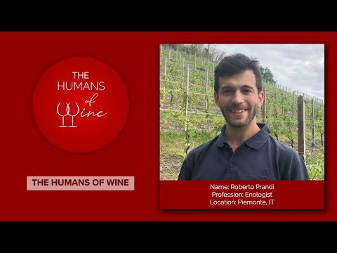 Interview n.° 2 - Roberto Prandi / Enologist in Barbaresco, IT