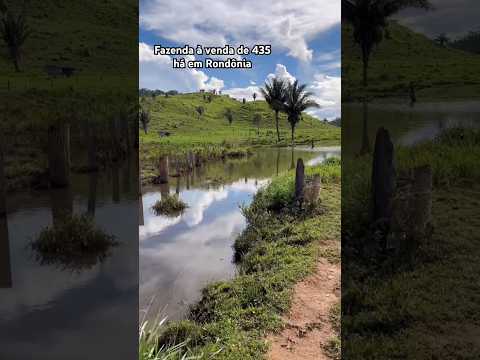 Fazenda luxo a venda de 435 há em Rondônia