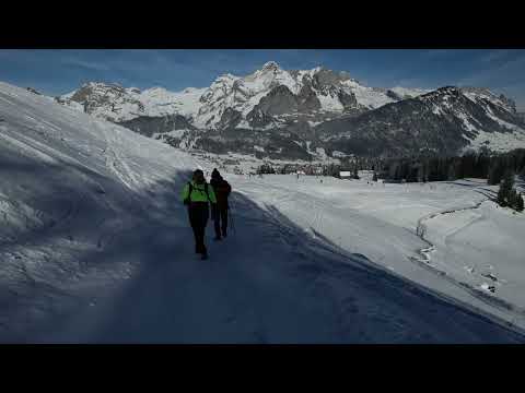 Winterwandern // Wildhaus - Gamsalp