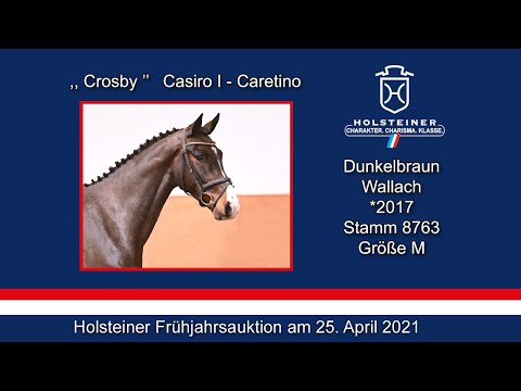 Holsteiner Frühjahrsauktion 2021 | Nr. 22 - Crosby