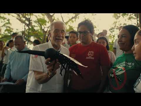 En el Atlántico le sacamos tarjeta roja al dengue