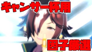 【ウマ娘】右往左往する女