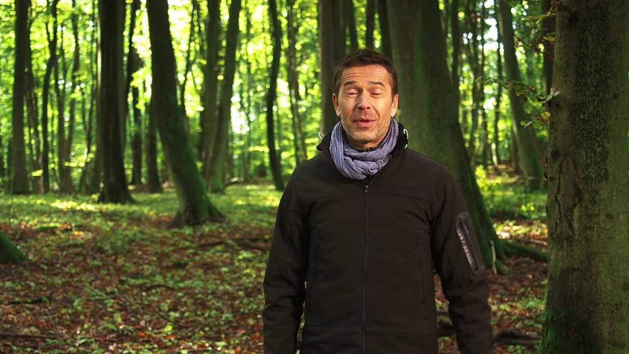 Die Wanderung der Alten Buchenwälder - UNESCO Welterbe seit 2011 - präsentiert von Dirk Steffens