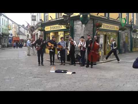 Buskers The Cozy Cartel Necessity Galway Ireland (Irish Harp Production)