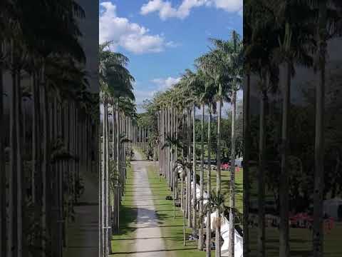Parque Roberto Burle Marx - Parque da Cidade #saopaulo