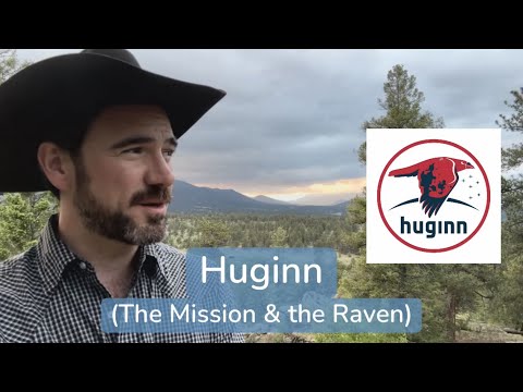 Huginn: The Mission and the Raven