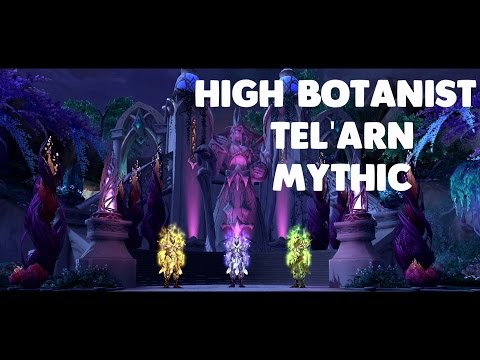 Weeping Angels vs Mythic High Botanist Tel'arn - Enhancement Shaman PoV