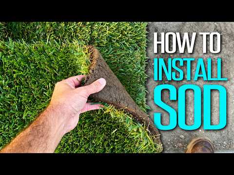 New Sod Installation STEP by STEP! | DIY landscaping.