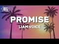 Liam Voice Promise English Translation Lyrics