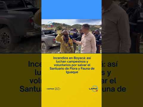 ¿Qué se necesita para apoyar en el incendio de Iguaque? Esto dicen los bomberos