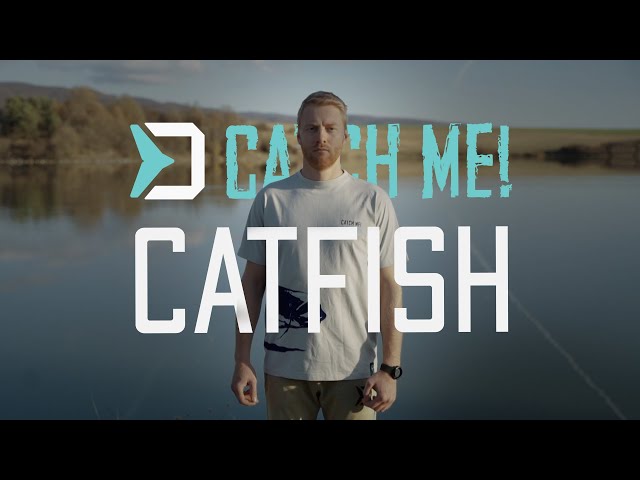 t-shirt-CATFISH