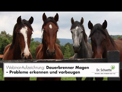 , title : 'Webinar-Aufzeichnung: Dauerbrenner Magen – Probleme erkennen und vorbeugen'