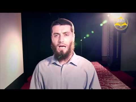 Ilum - Haus des Wissens - Intervjui voditelja i učesnika programa